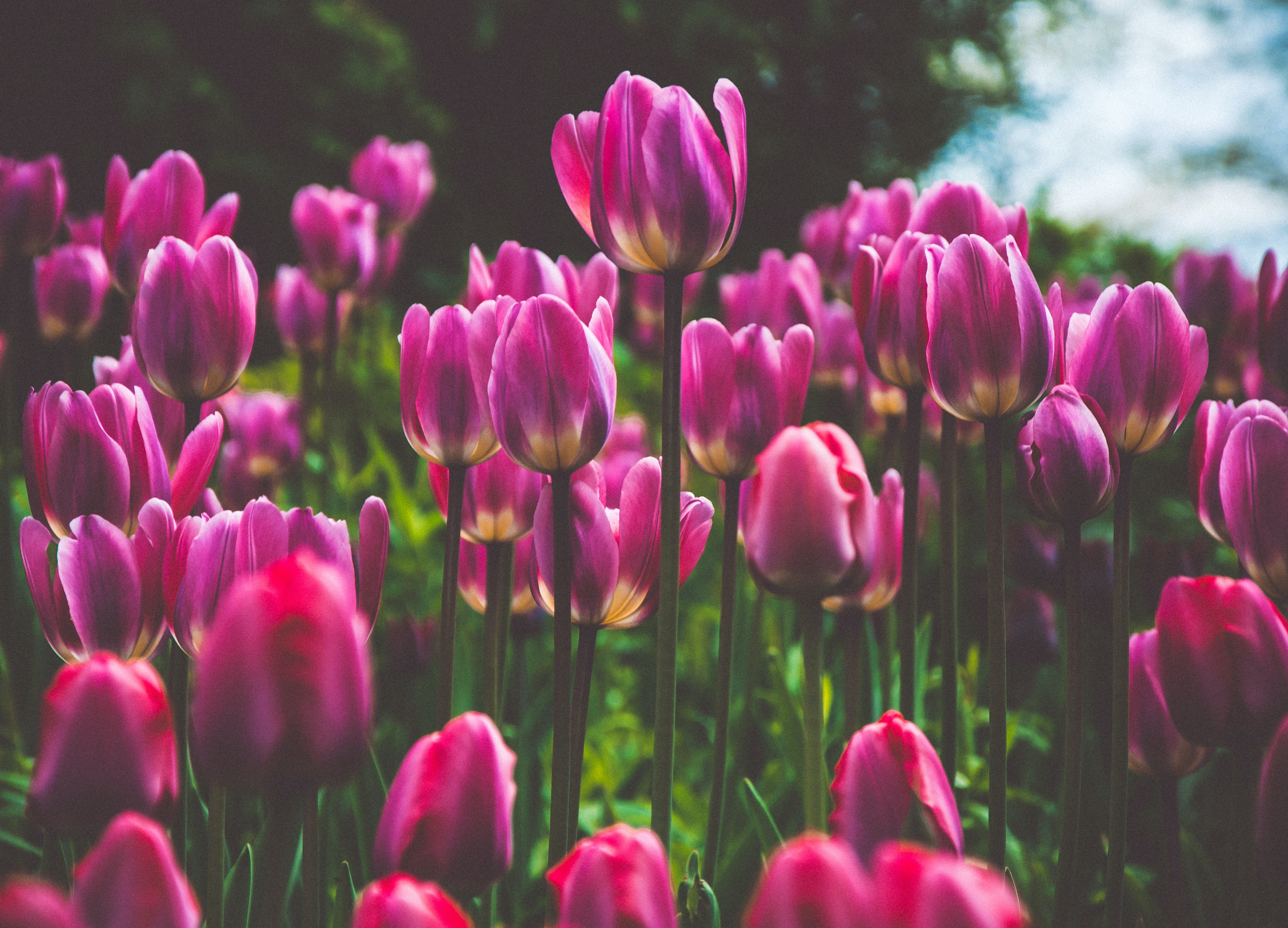 IT活用サービスのご紹介